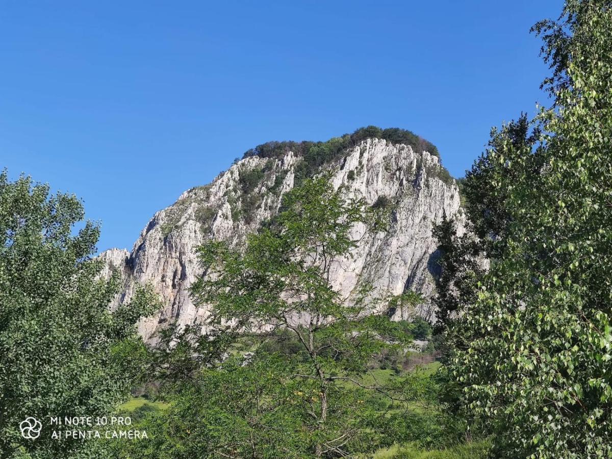 Cabana Ioana Munună Exterior foto