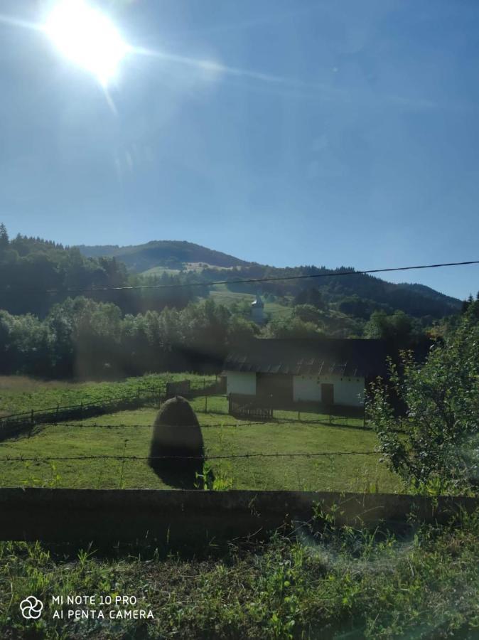 Cabana Ioana Munună Exterior foto