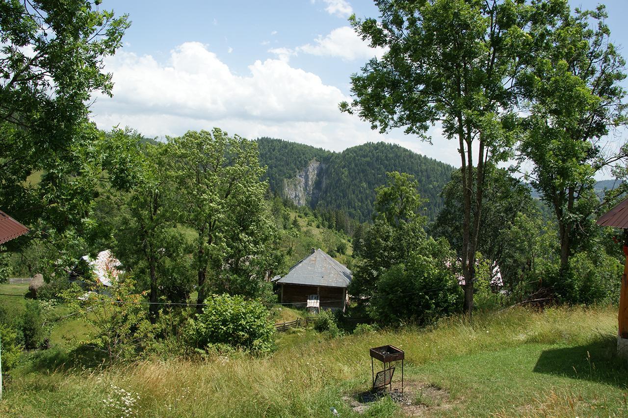 Cabana Ioana Munună Exterior foto
